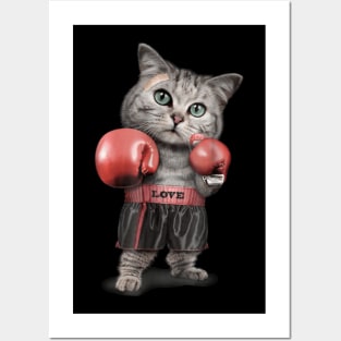 CAT BOXING Posters and Art